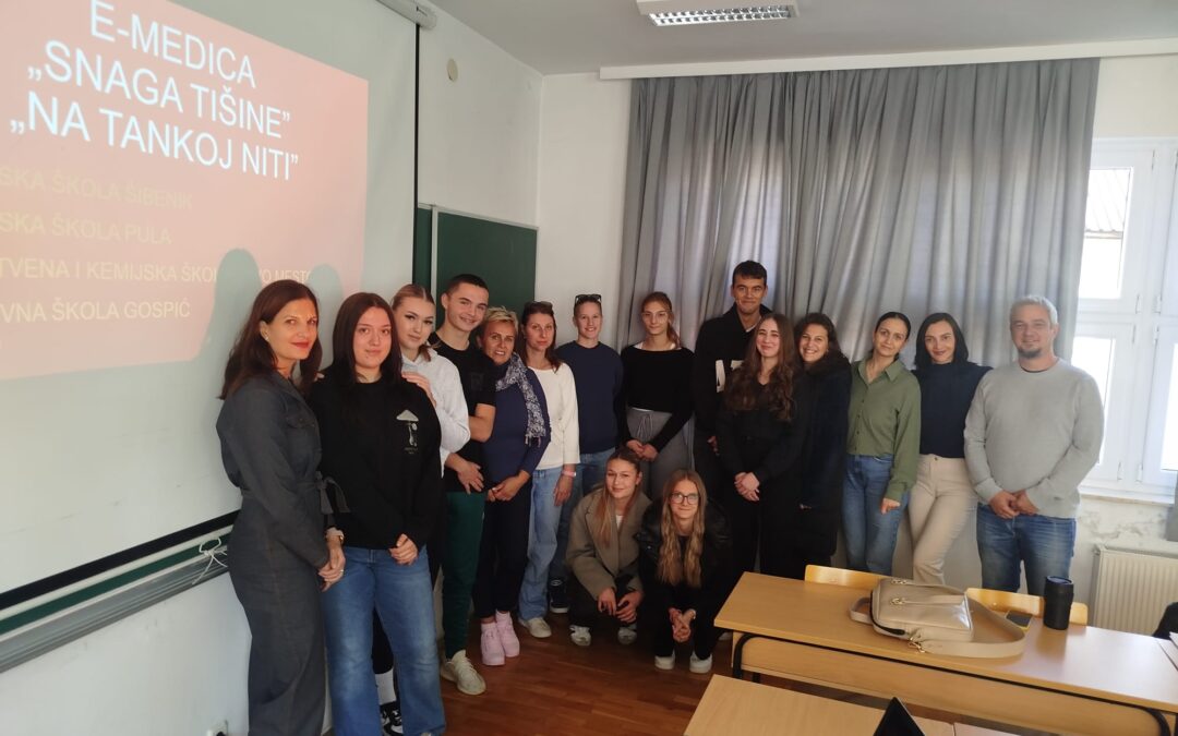 Pripreme za smotru E-medica